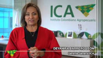 Renunció la directora del ICA