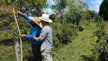 La estrategia prevé asistencia permanente, modernización de técnicas y registro obligatorio ante las entidades forestales, como parte de un esfuerzo por reforzar la protección ambiental y optimizar el manejo de los recursos (Foto cortesía MAGA)