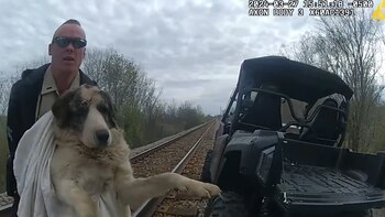 Oficiales de la Wagoner County Sheriff's Office acudieron al rescate de un perro herido que pasó tres días sobre las vías del tren. (Captura de Pantalla/Facebook/ Wagoner County Sheriff's Office)
Perros, razas de perros, animales, mascotas, noticias de animales, noticias de mascotas, rescate animal, vías de tren, Oklahoma, Estados Unidos