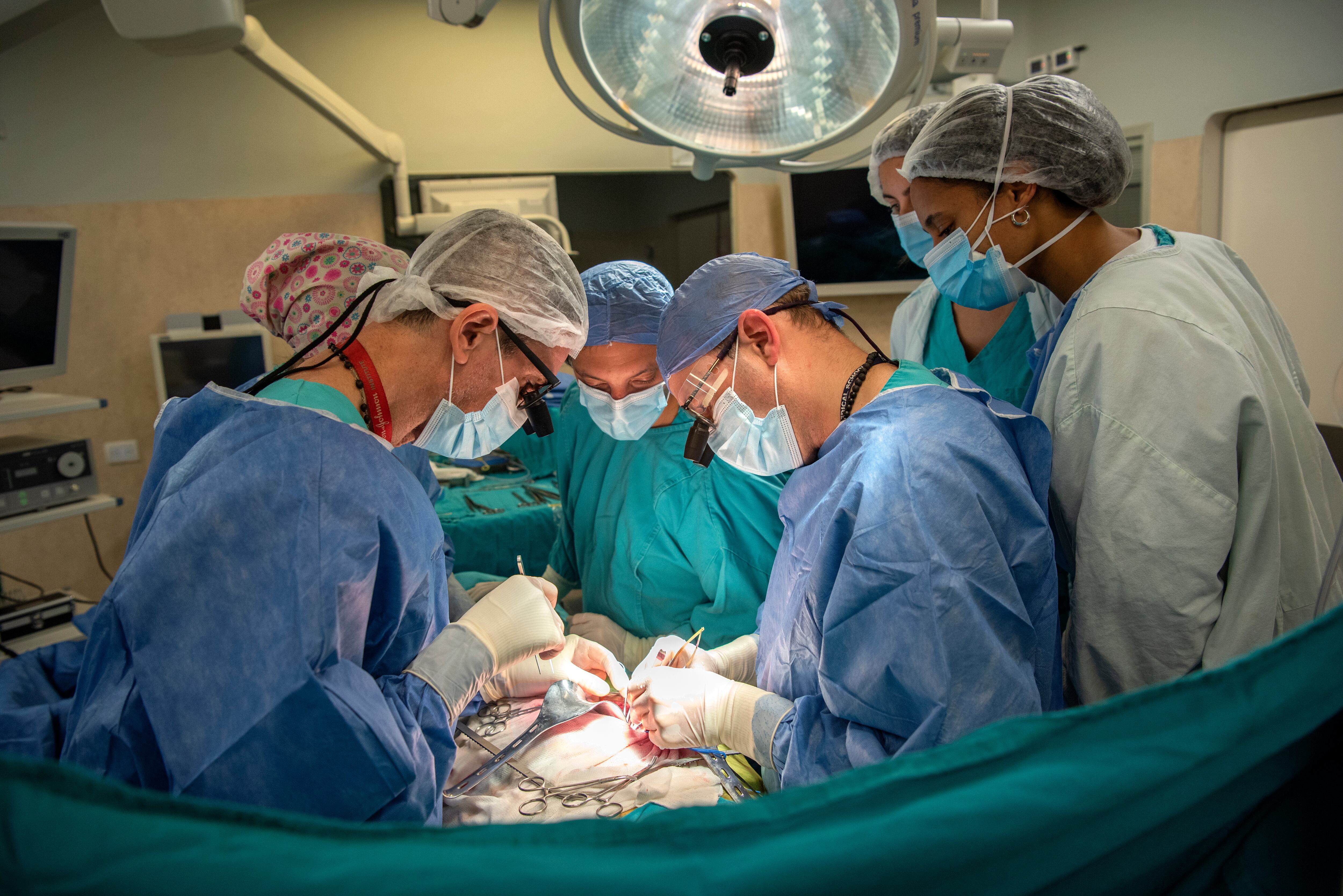 Pacientes de entre seis meses y dieciséis años recibieron órganos vitales gracias a la donación, la tecnología avanzada y la labor coordinada de los equipos médicos (Gentileza: Hospital Garrahan)