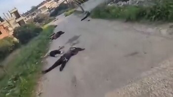 Nuevas imágenes documentan las brutales matanzas de civiles alauitas durante las operaciones militares en Siria