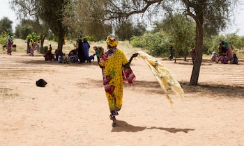 En Chad la recuperación de oasis con bombas solares permitió a 300 agricultores prosperar aunque la sostenibilidad depende de inversión constante (ONU)