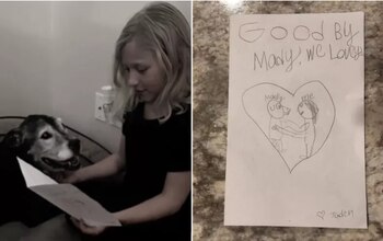 Una niña de 9 años