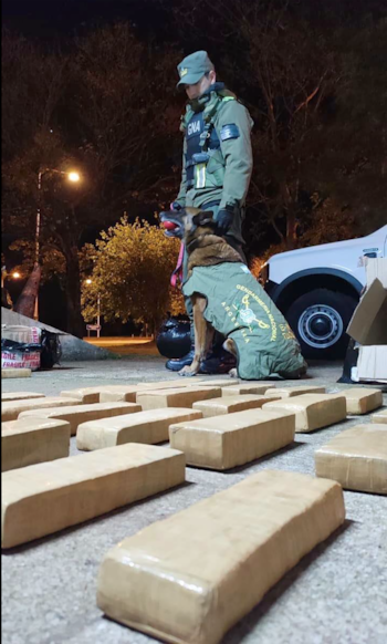 Un agente y un perro de la Gendarmería permanecen junto a varios paquetes rectangulares envueltos en cinta marrón sobre el suelo