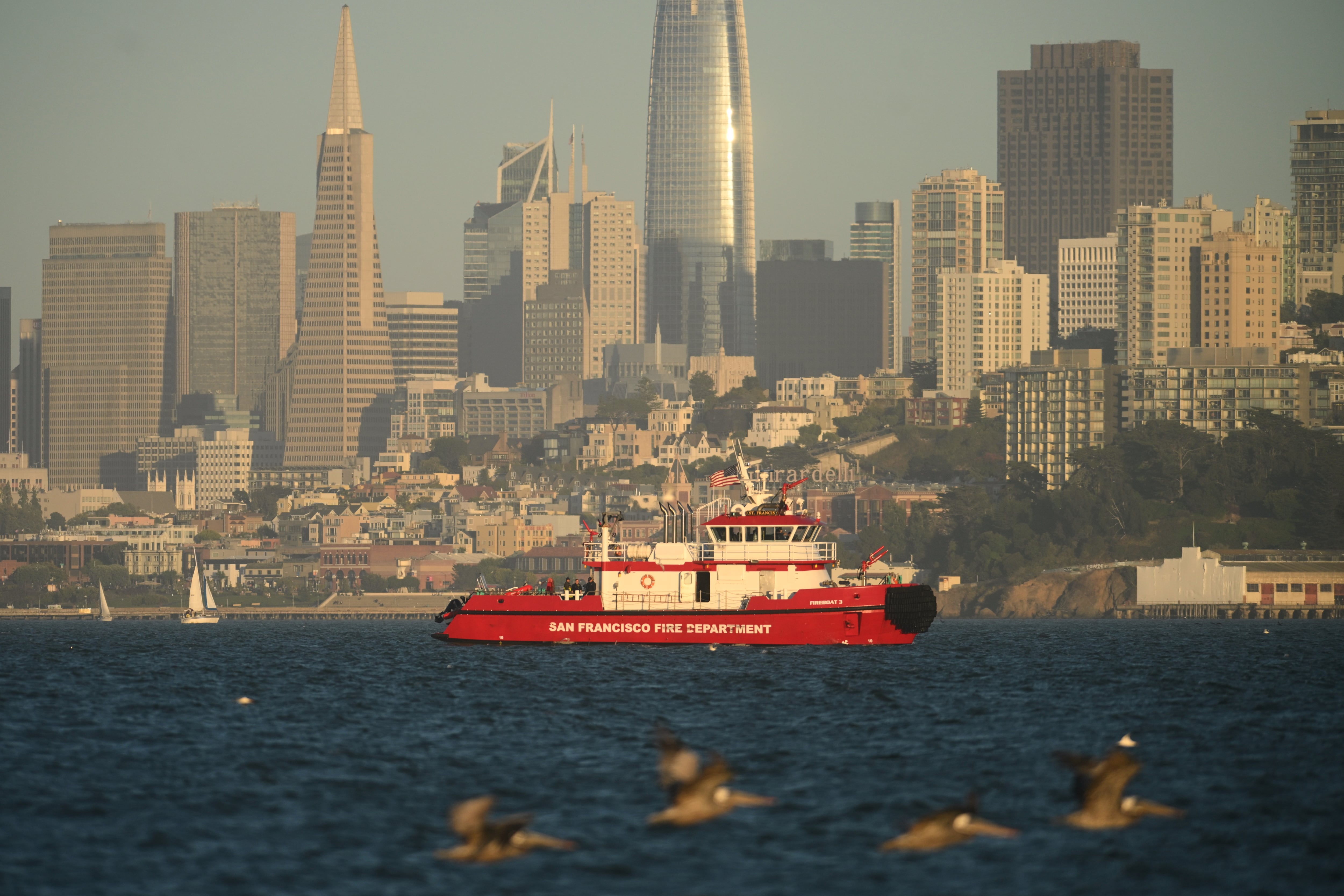 La Guardia Costera recorrió más de 950 millas náuticas cuadradas (1.528,5 km) durante casi 24 horas antes de suspender el operativo de búsqueda en San Francisco (AP Foto/Noah Berger).