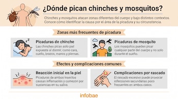 Infografía con ilustraciones de chinches, mosquitos y personas, mostrando zonas de picaduras, reacciones en la piel y complicaciones por rascado.
