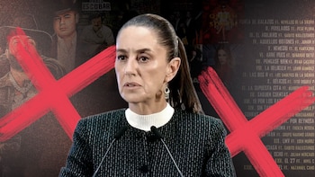 “La delincuencia es una acción