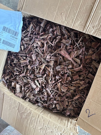 El consumo de Mimosa pudica