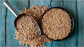 Las propiedades nutricionales de las