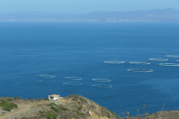 Granjas acuícolas ubicadas frente a