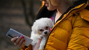 Sistemas de inteligencia artificial están