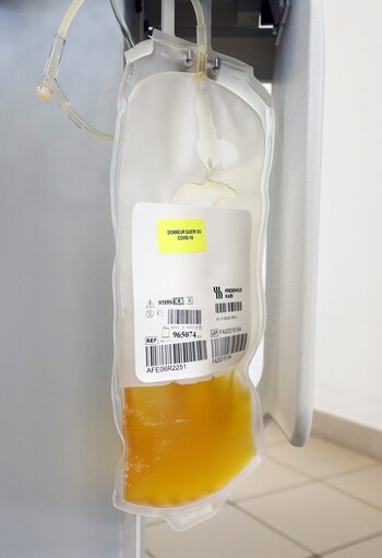 Según los investigadores, las conclusiones