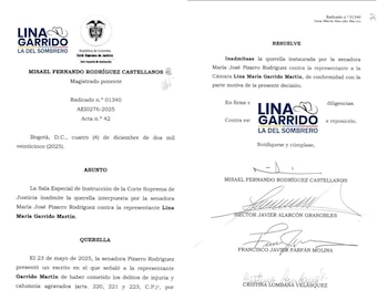 El fallo señala que las