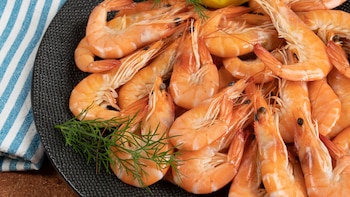 Beneficios y contraindicaciones de comer