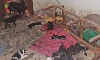 La Fiscalía General de Estado