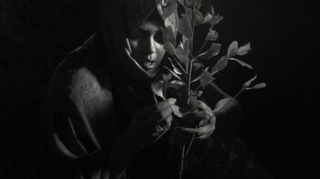 La película "Faya Dayi" explora