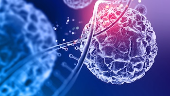 En busca y captura del “talón de Aquiles” del cáncer: el punto débil oculto en el ADN de los tumores