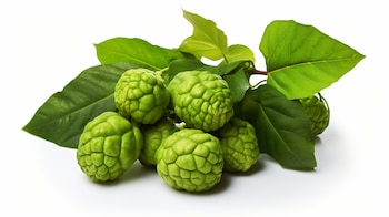 La planta es originaria del