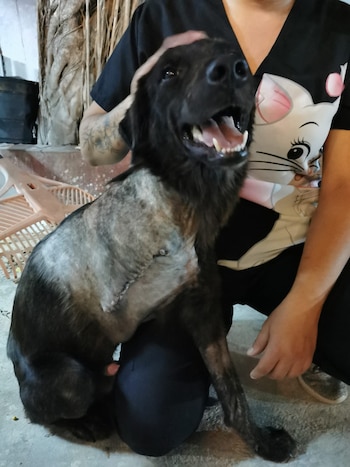 Aprendió a dejar de apoyarse