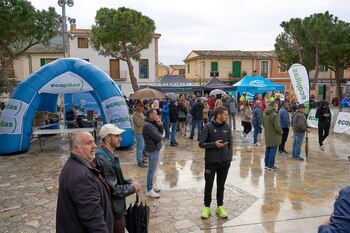 La organización del Challenge Mallorca manifestó que el pelotón se negó a correr en esas condiciones, sin dar margen de negociación - crédito @challengeciclistamallorca/Instagram