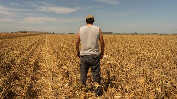 Este año, la sequías generaron