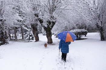 Una mujer pasea con su