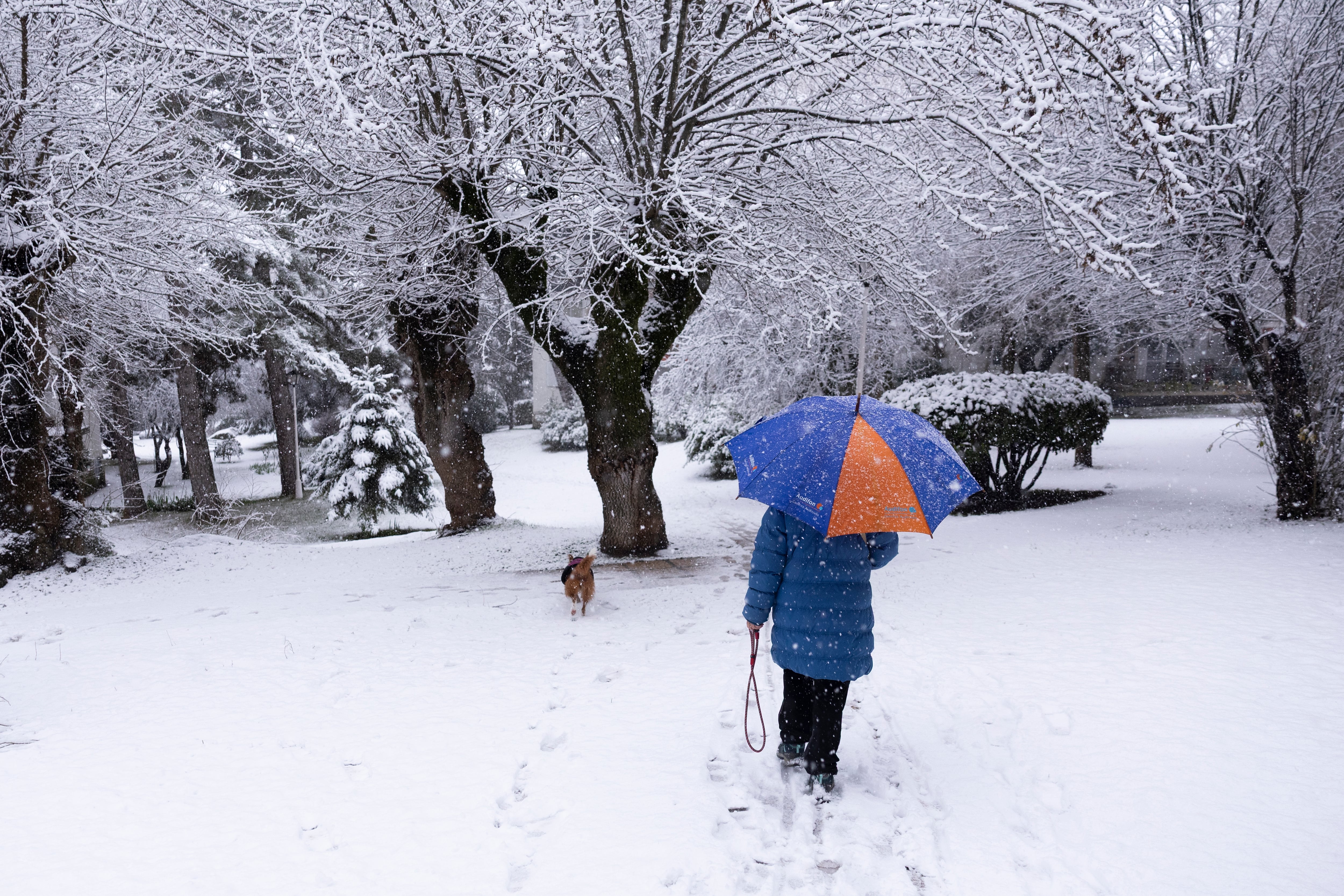 Una mujer pasea con su perro en una urbanización en Alpedrete, en enero. (EFE/Sergio Pérez)