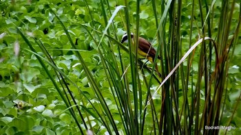 La ley 14.448 la sancionó