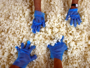 Cerveceros preparan arroz en una
