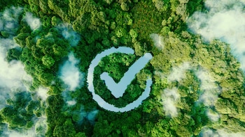 América Latina acelera en los mercados de carbono y se proyecta como fuente clave de divisas