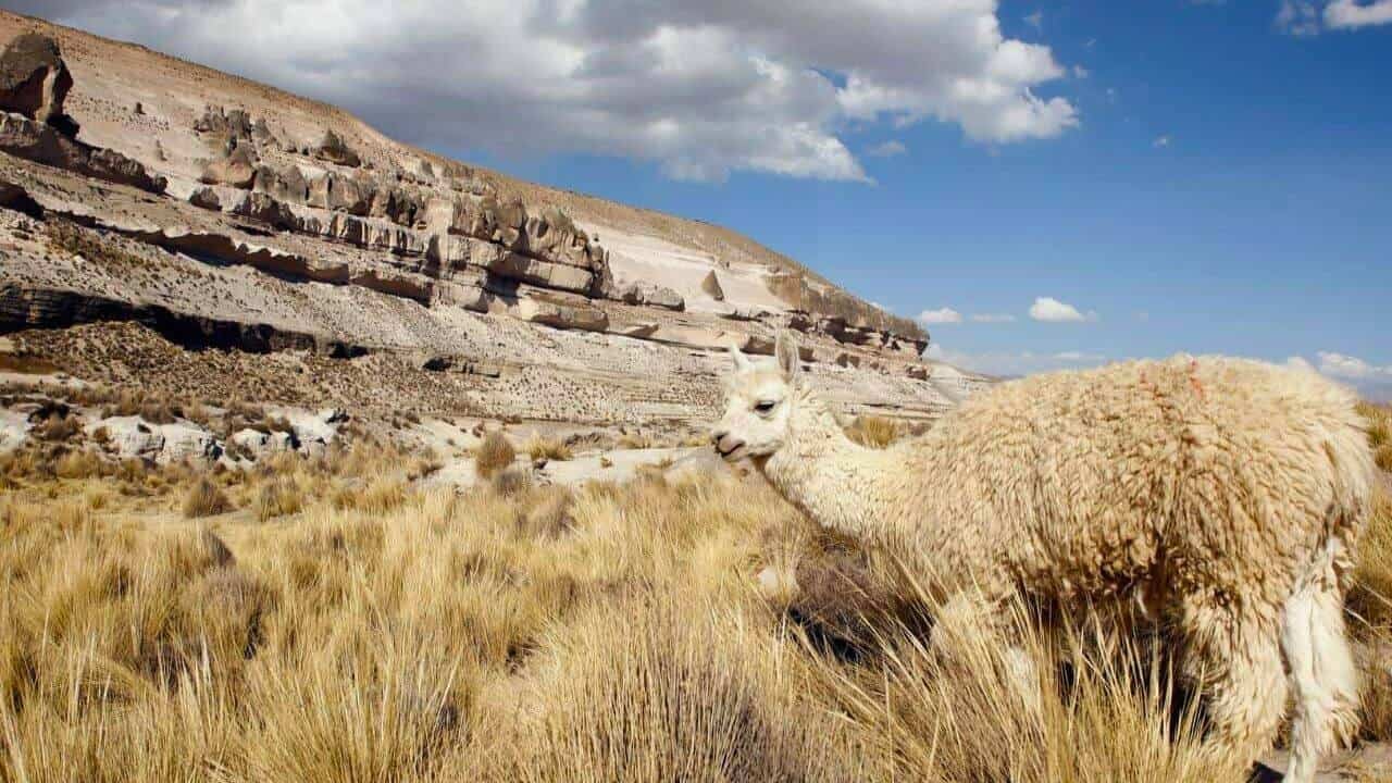 Arequipa. (Foto: Sparknomad)