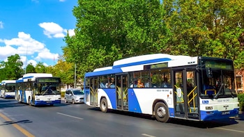 El transporte pesado a GNC