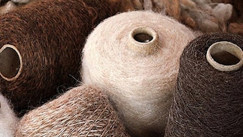 Oro de los Andes: la fibra de vicuña rompe la barrera de USD 330 por kilo y pone a Perú al centro del mercado textil de lujo