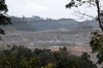 El informe identificó debilidades en las acciones de reforestación, al señalar que se desarrollan de forma fragmentada y sin una estrategia integral de biodiversidad. REUTERS/Roberto Cisneros