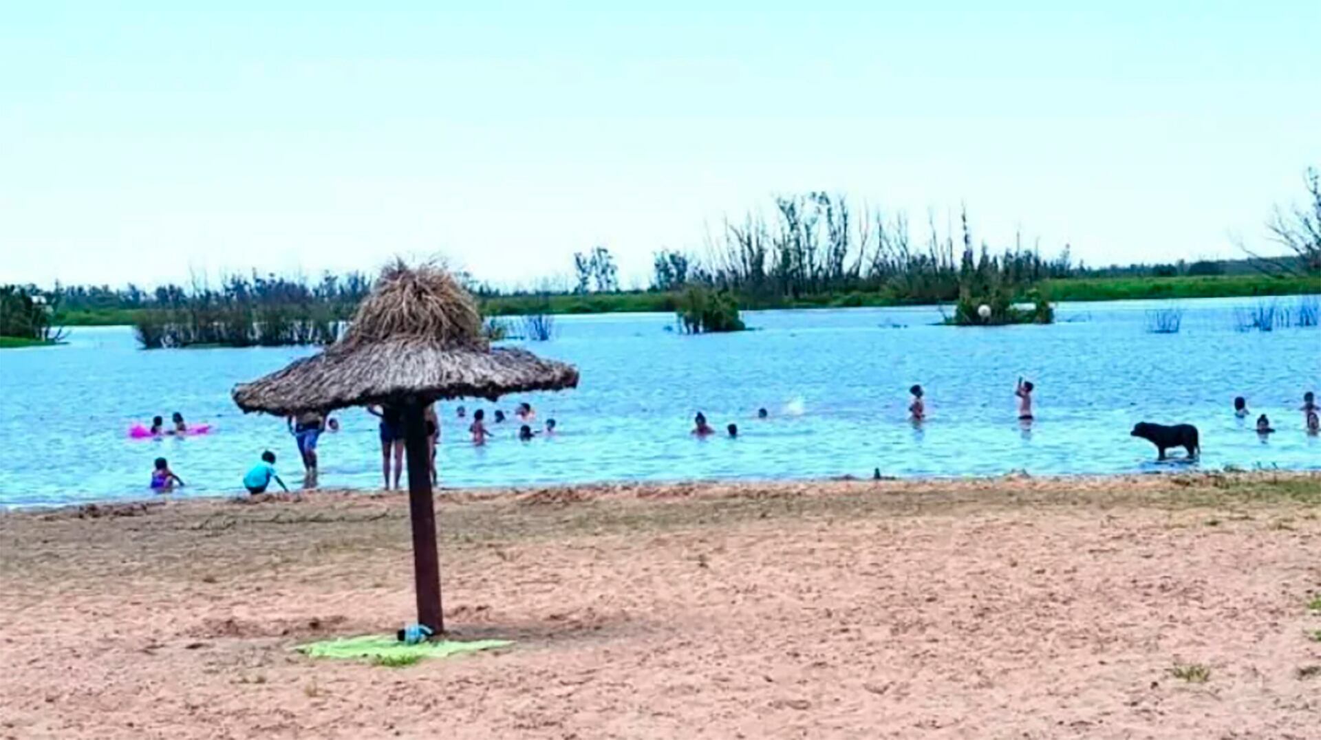 El Mercado Raíz y el Paseo del Puerto promueven la gastronomía regional y el consumo sustentable