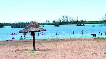 El Mercado Raíz y el