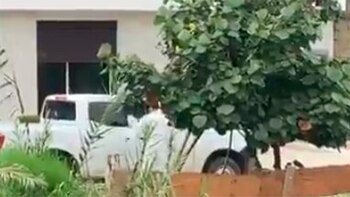 El director de investigaciones murió