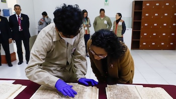 Este valioso hallazgo está en