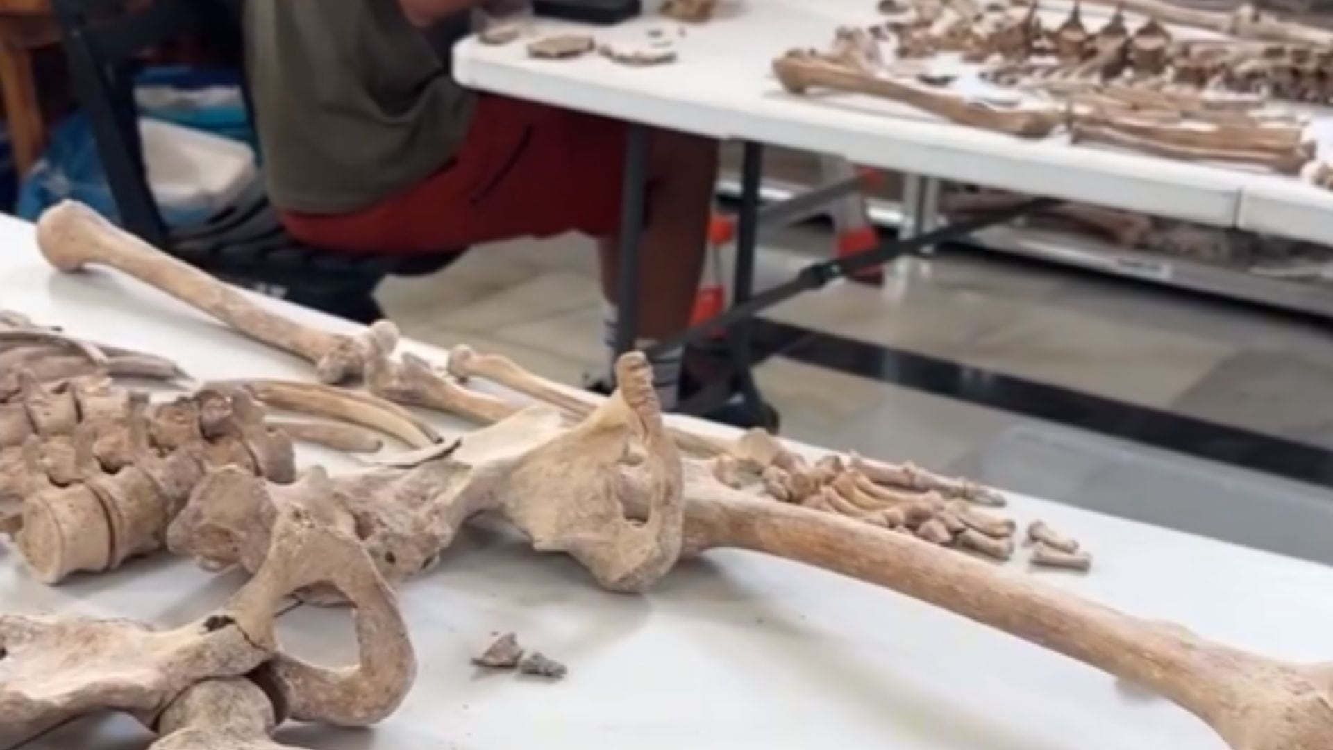 Encuentran otras 32 personas en una nueva fosa común del cementerio de Huelva: “Aquí no se desentierran solo restos humanos, se recuperan nombres, historias y derechos”