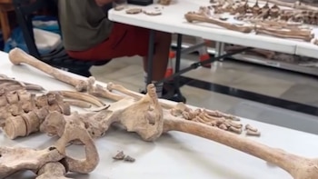 Encuentran otras 32 personas en una nueva fosa común del cementerio de Huelva: “Aquí no se desentierran solo restos humanos, se recuperan nombres, historias y derechos”