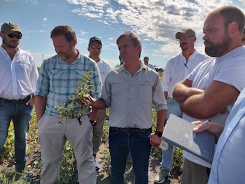 Agustín Bianchini, junto a demás