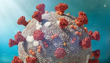 Desarrollada para detectar múltiples patógenos