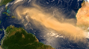 Vista satelital de la Tierra con una franja dorada de polvo que cruza el océano Atlántico entre África, el Caribe y América del Sur.