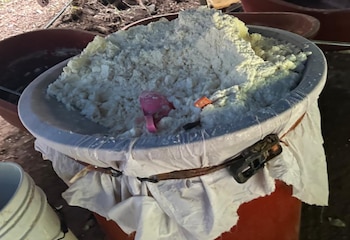 En el sitio también decomisaron 10,580 litros y 3,225 kilos de sustancias químicas Foto: Gabinete de seguridad