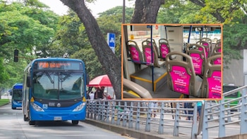 El sistema MÍO implementa espacios