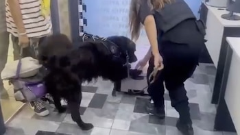 Una ciudadana boliviana con domicilio