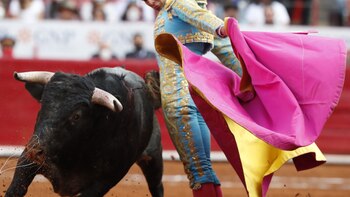 Nuevo León: la tauromaquia y las peleas de gallos fueron declarados como patrimonio cultural inmaterial