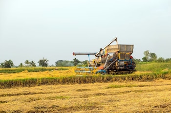 Un nuevo hallazgo molecular revela