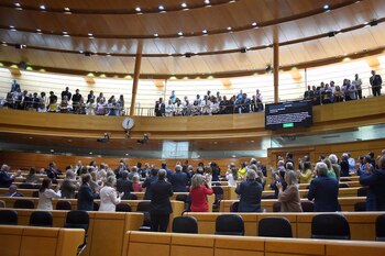 Machado agradeció al Senado español