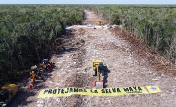 Los activistas protestaron por la